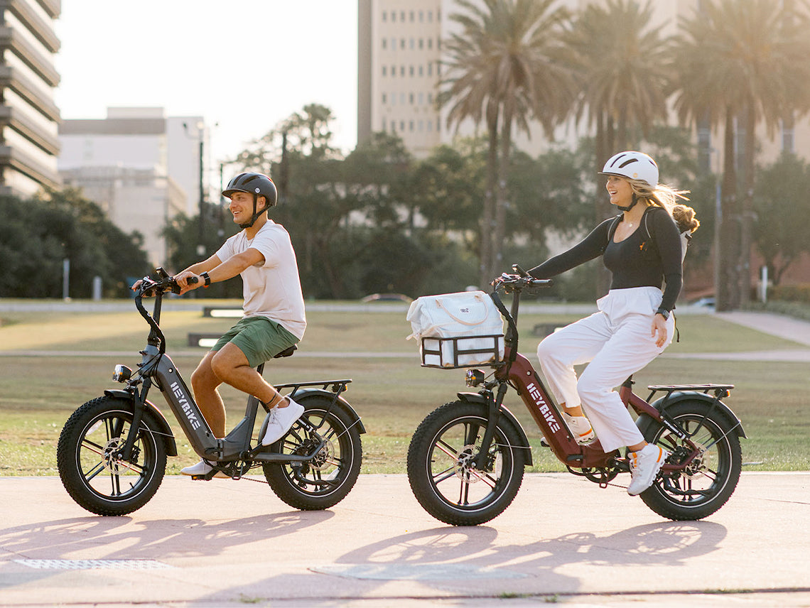 Fat Tire Ebikes--Electric Bike
